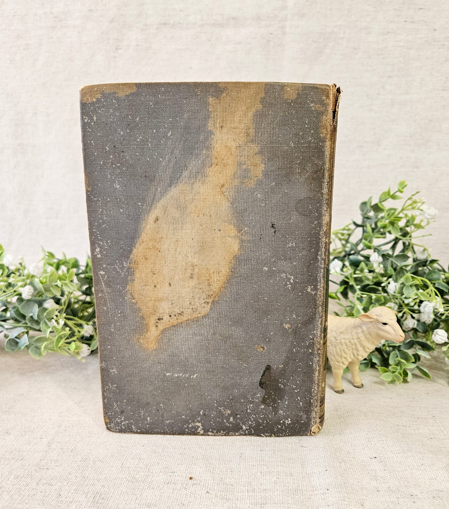 1884 Lucile by Owen Meredith, Antique Poetry Book