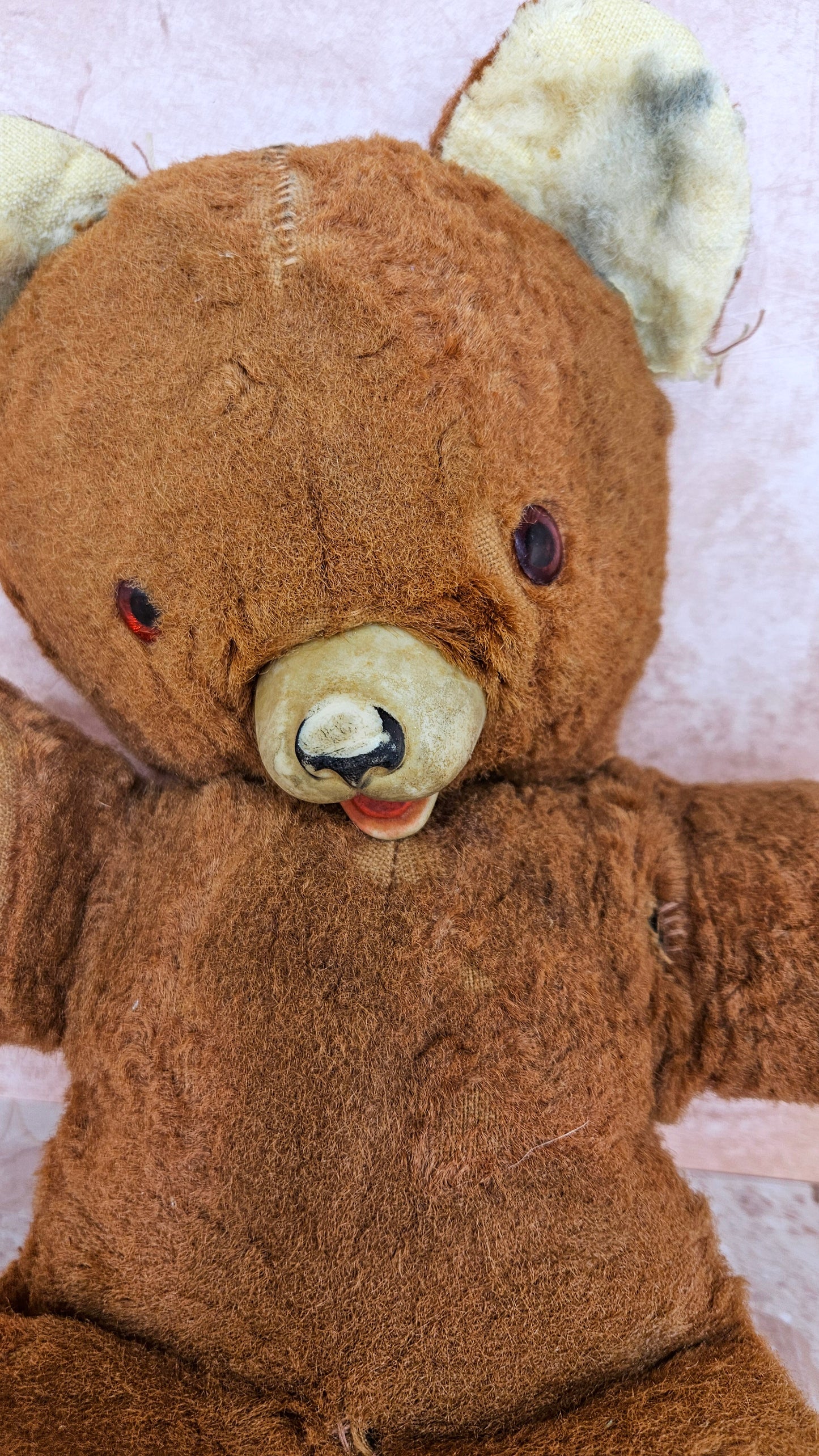 Vintage Rubber Nose Teddy Bear 1950's