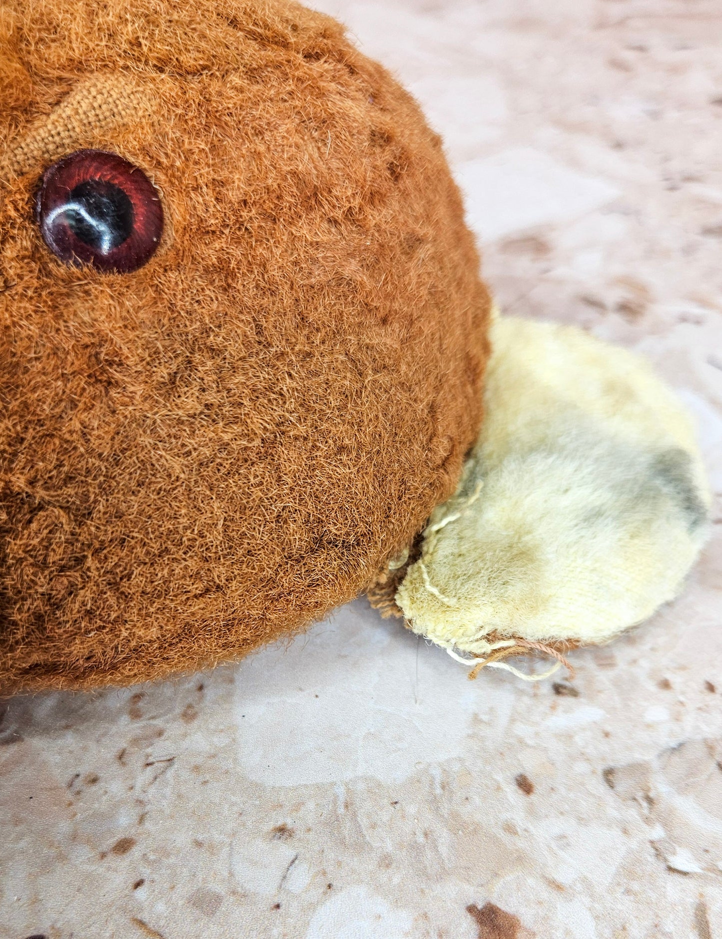 Vintage Rubber Nose Teddy Bear 1950's