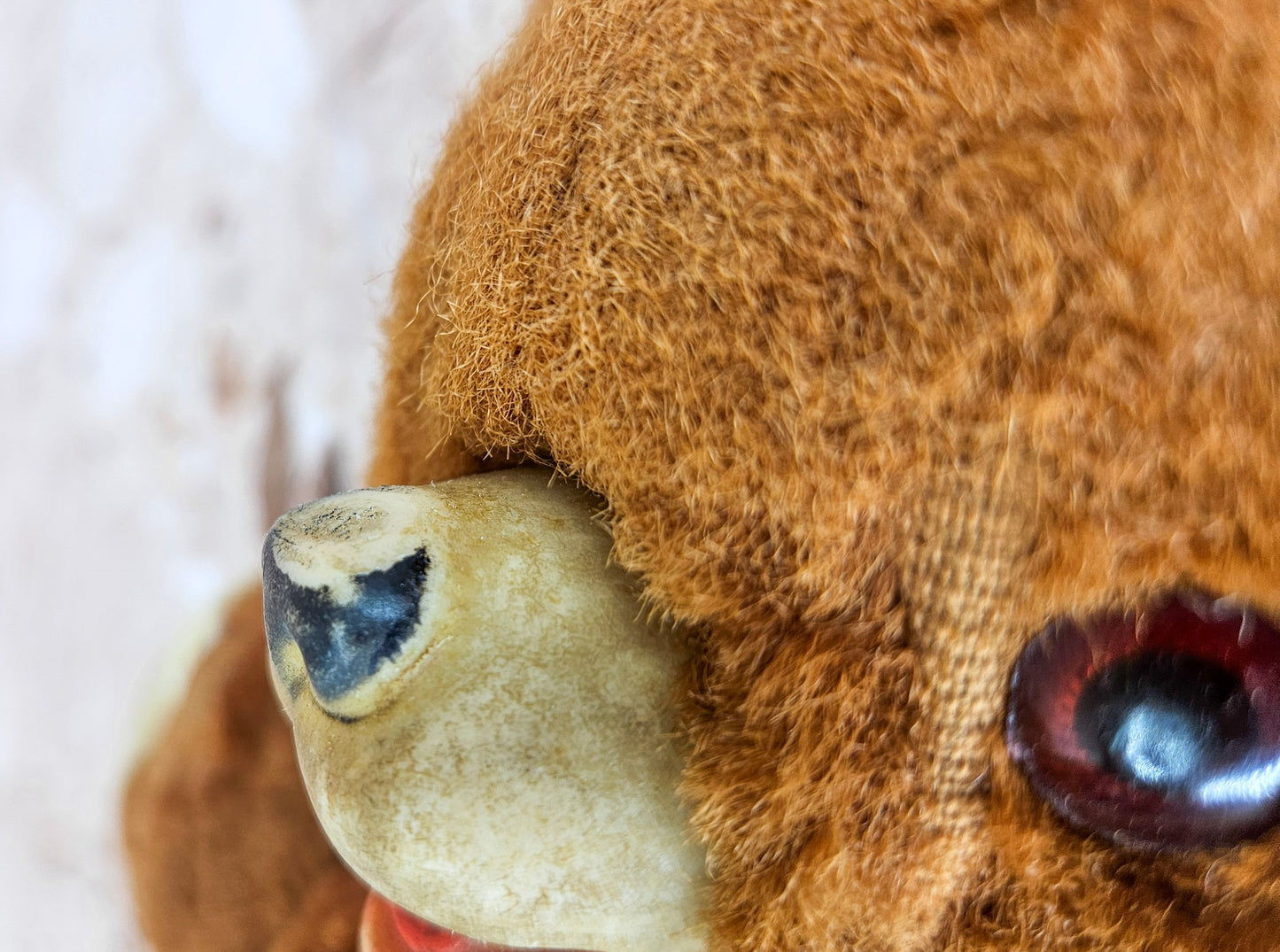 Vintage Rubber Nose Teddy Bear 1950's