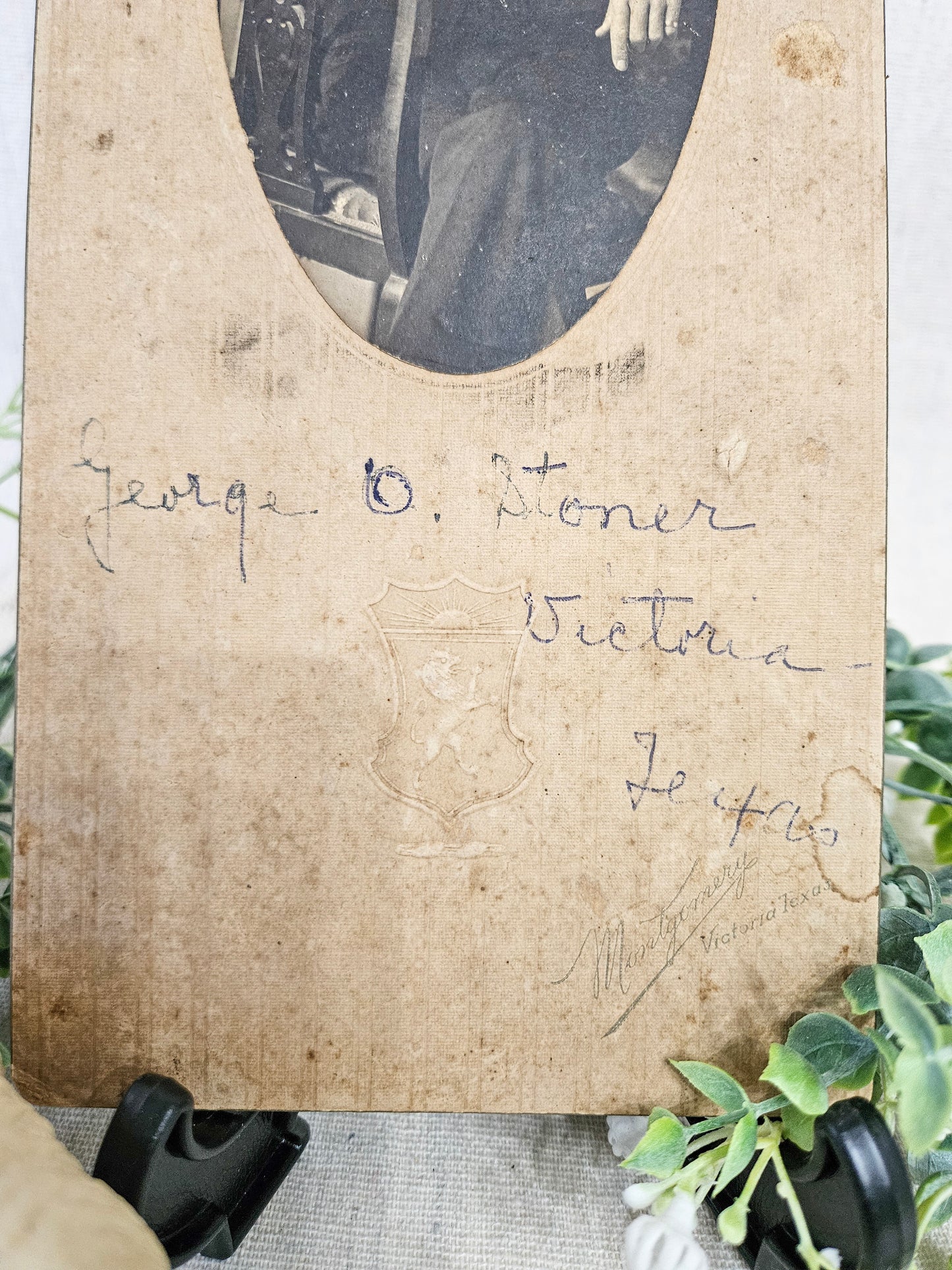 1900's Studio Cabinet Photo of a Young Gentleman