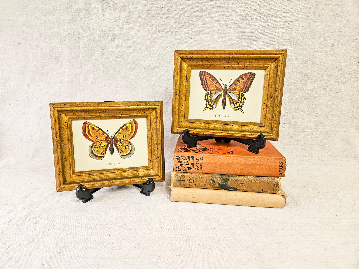 Vintage Pair of Le P. Machaon & Le P. Apollon Butterfly Prints In Wood Frames