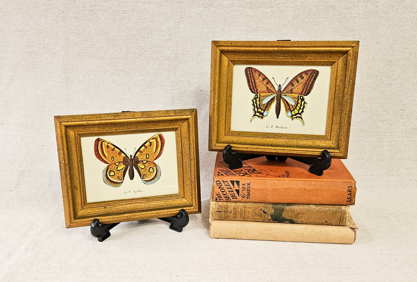 Vintage Pair of Le P. Machaon & Le P. Apollon Butterfly Prints In Wood Frames